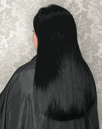 Deluxe Head Clip-In Jet Black #1 Hair Extensions