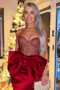 Full Head Clip-In Silver Hair Extensions